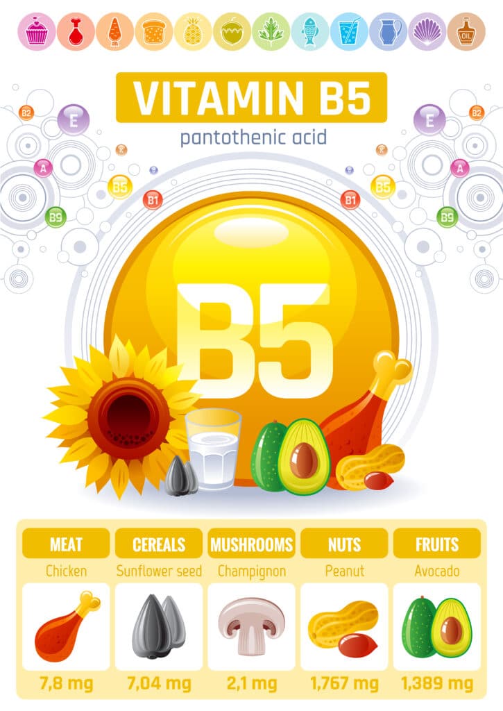 The Essential Guide to Vitamin B5 for Kids Dosage and Importance