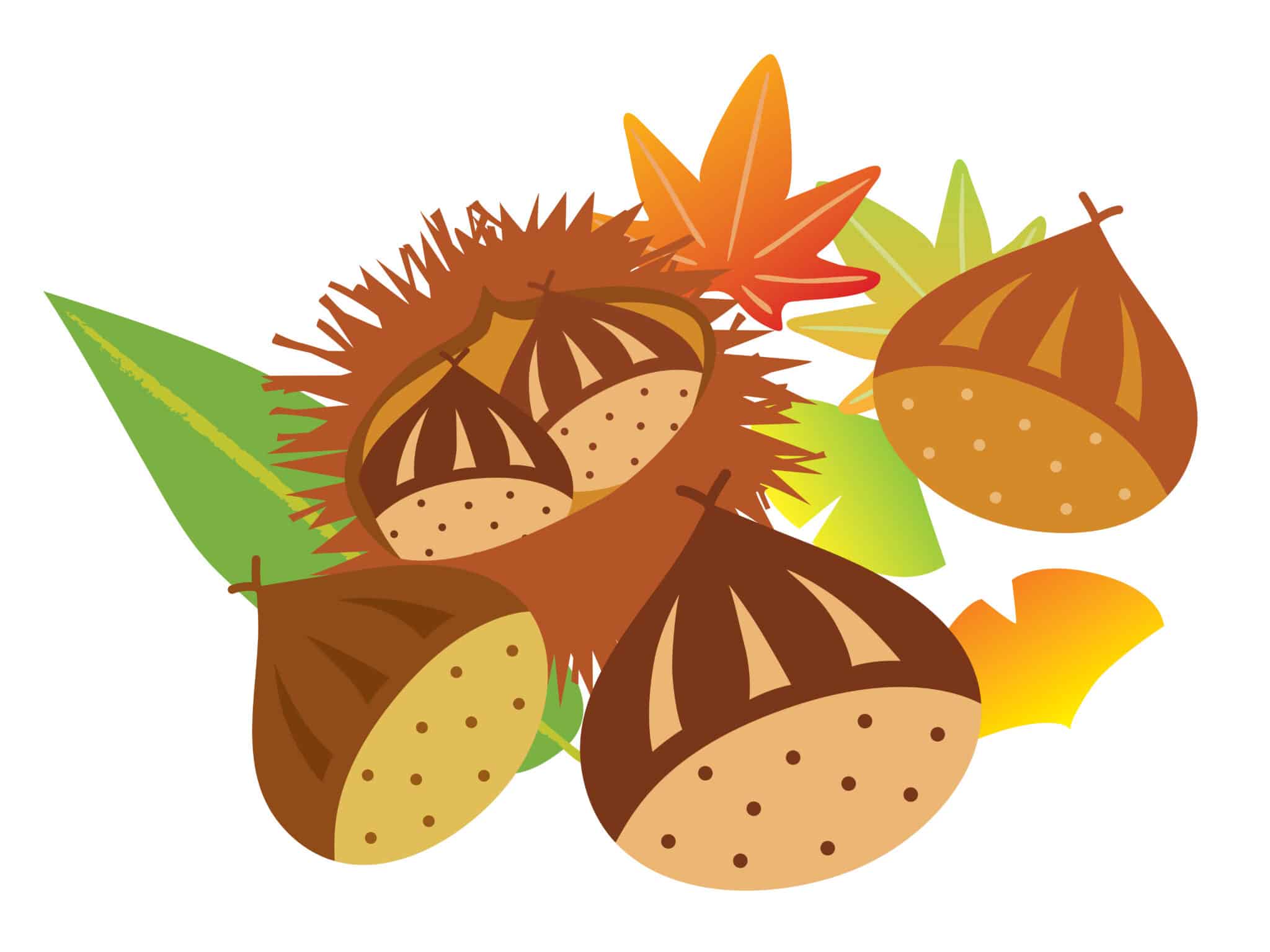 Unlock The Power Of Theprivateavocado: A Simple Guide - 78cgjb7