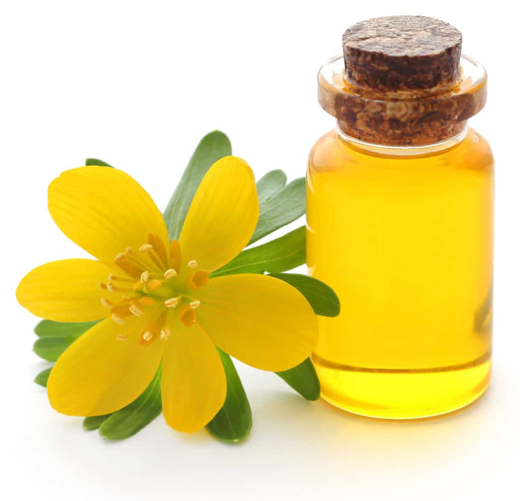 Surprising Health Benefits of Evening Primrose Oil! All You Need to