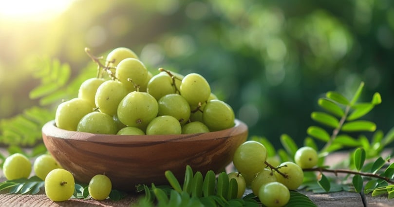 What is Amla: Health Benefits and Beyond
